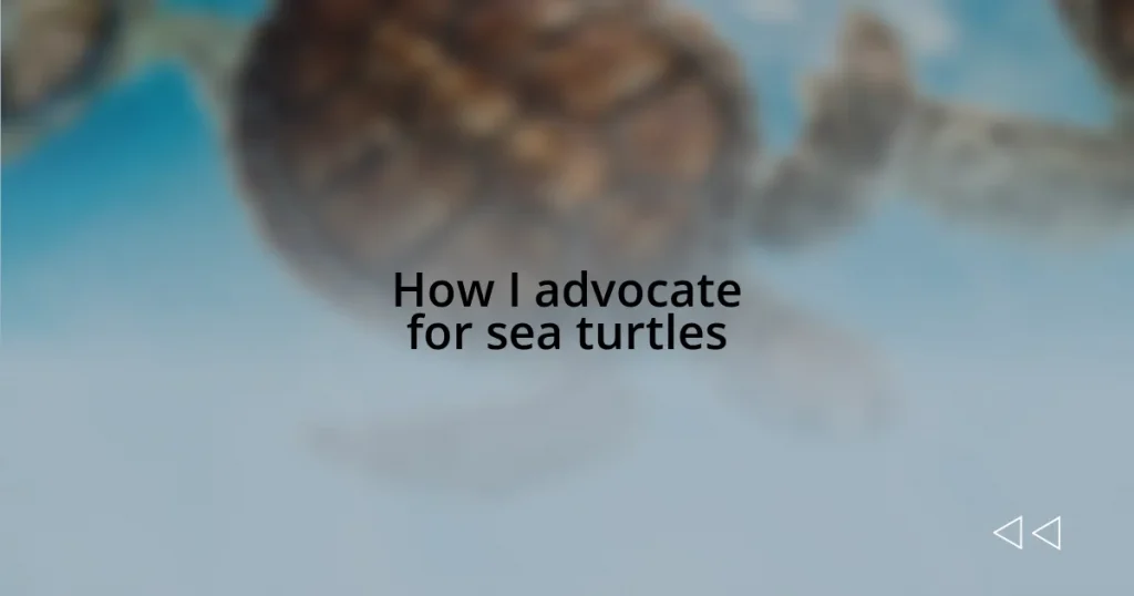 How I advocate for sea turtles