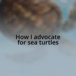 How I advocate for sea turtles