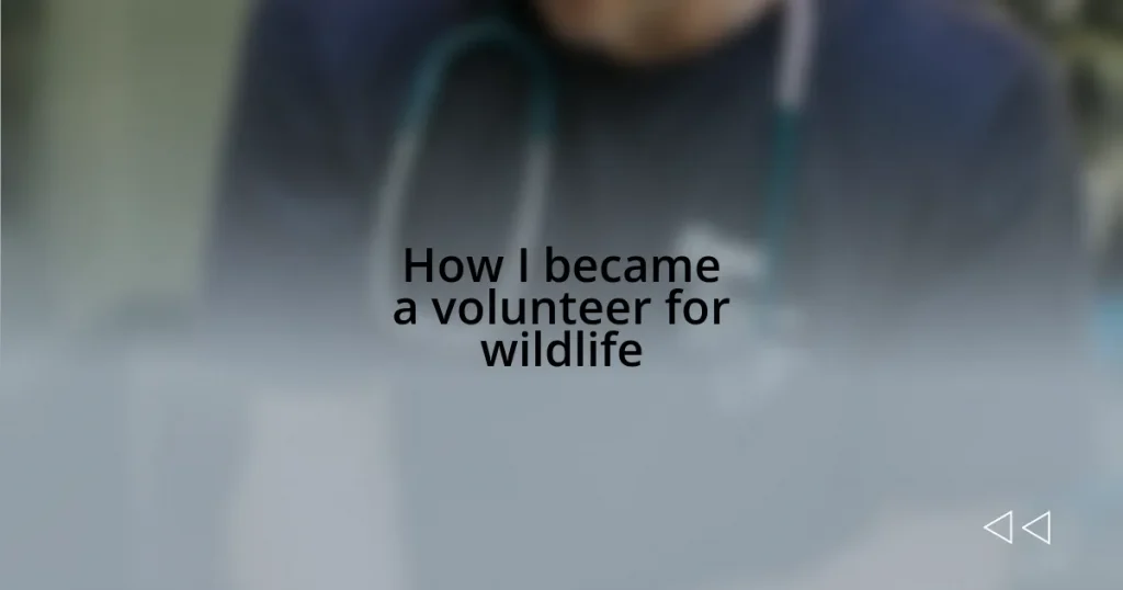 How I became a volunteer for wildlife