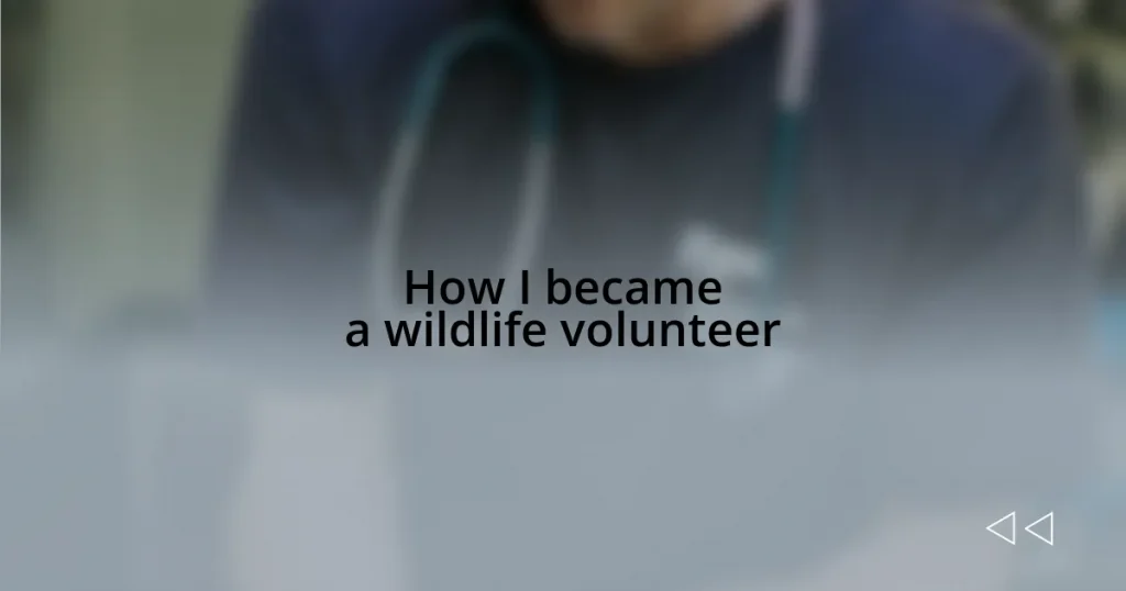 How I became a wildlife volunteer