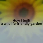 How I built a wildlife-friendly garden