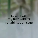 How I built my first wildlife rehabilitation cage