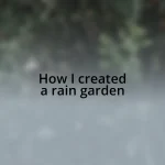 How I created a rain garden