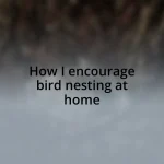 How I encourage bird nesting at home
