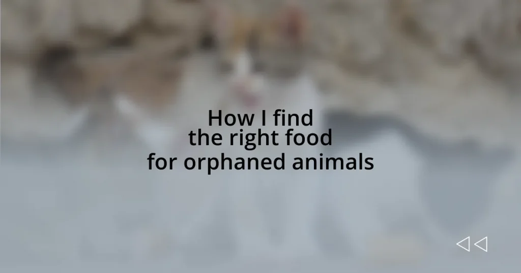 How I find the right food for orphaned animals