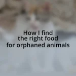 How I find the right food for orphaned animals