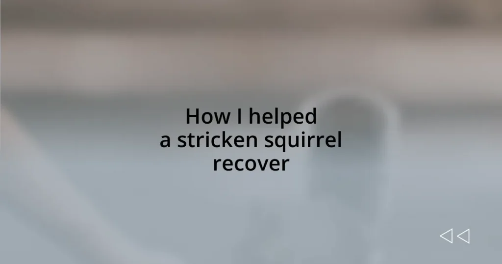 How I helped a stricken squirrel recover
