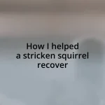 How I helped a stricken squirrel recover