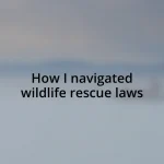 How I navigated wildlife rescue laws