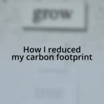 How I reduced my carbon footprint