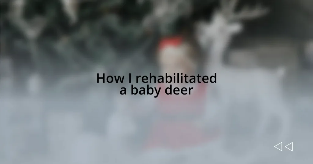 How I rehabilitated a baby deer