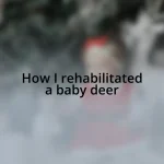 How I rehabilitated a baby deer