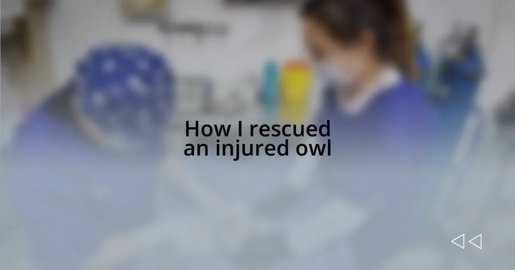 How I rescued an injured owl