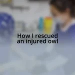 How I rescued an injured owl