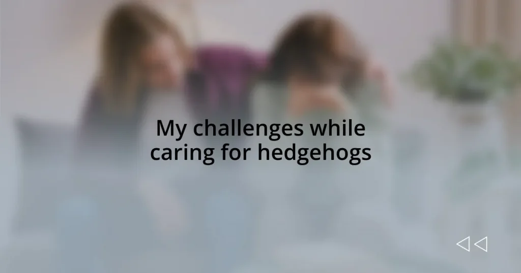 My challenges while caring for hedgehogs