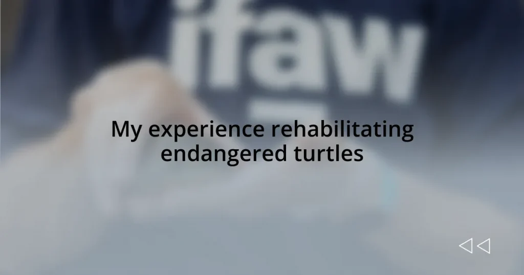 My experience rehabilitating endangered turtles