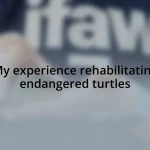 My experience rehabilitating endangered turtles