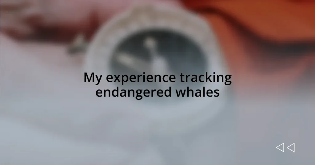 My experience tracking endangered whales