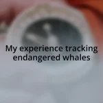 My experience tracking endangered whales