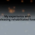 My experience with releasing rehabilitated foxes