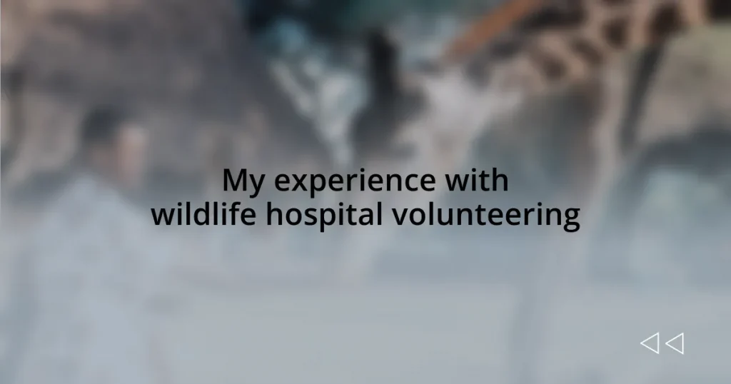 My experience with wildlife hospital volunteering