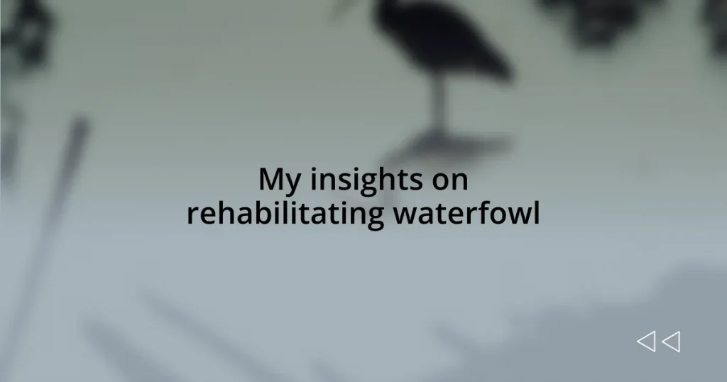 My insights on rehabilitating waterfowl
