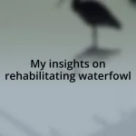 My insights on rehabilitating waterfowl