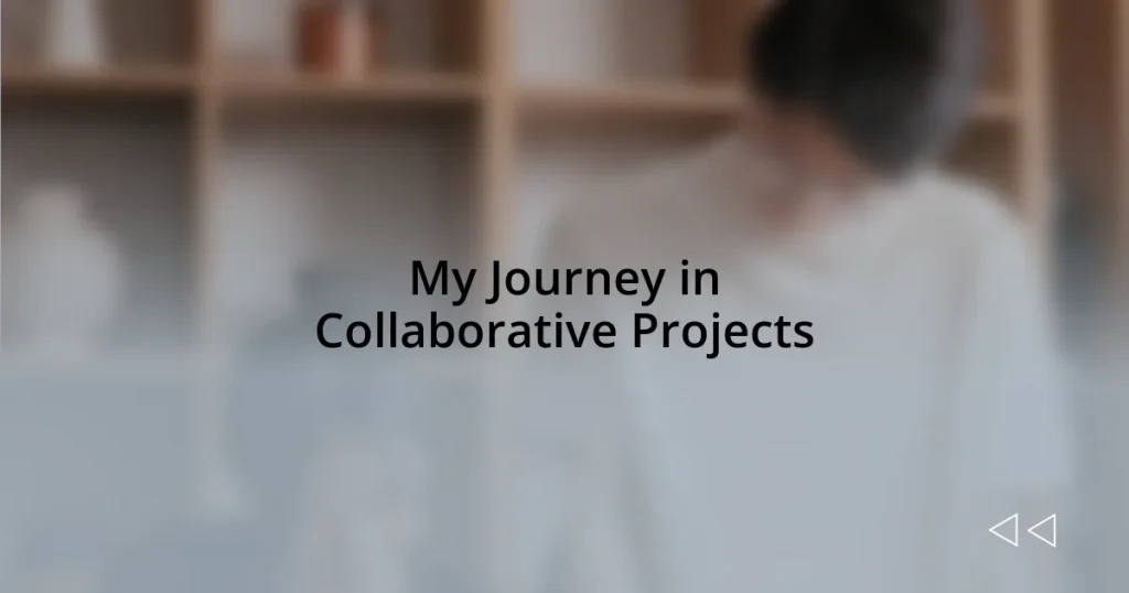 My Journey in Collaborative Projects