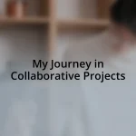 My Journey in Collaborative Projects