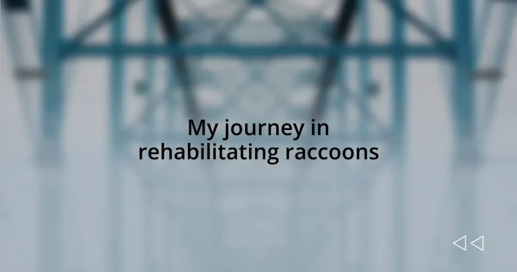 My journey in rehabilitating raccoons