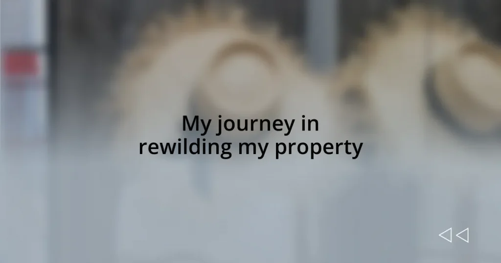 My journey in rewilding my property