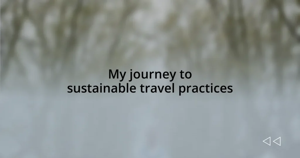 My journey to sustainable travel practices