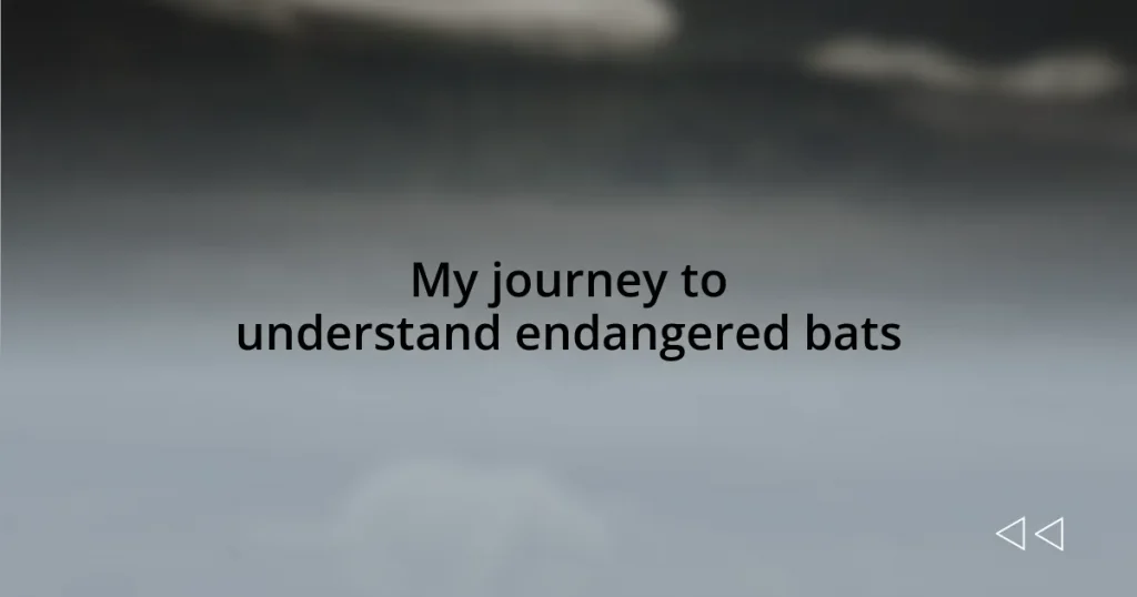 My journey to understand endangered bats