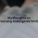 My thoughts on rescuing endangered birds