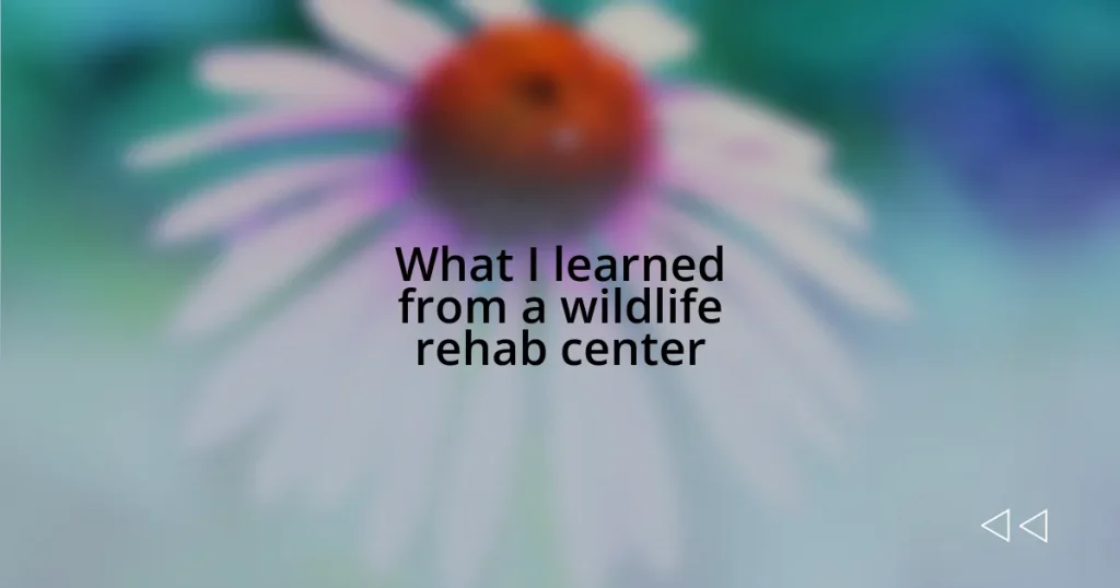 What I learned from a wildlife rehab center