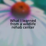 What I learned from a wildlife rehab center