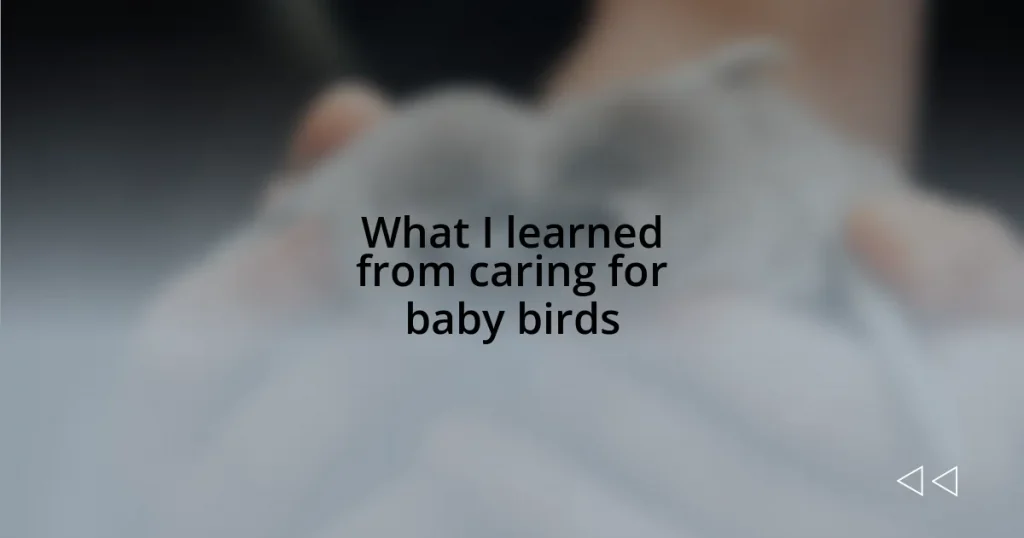 What I learned from caring for baby birds