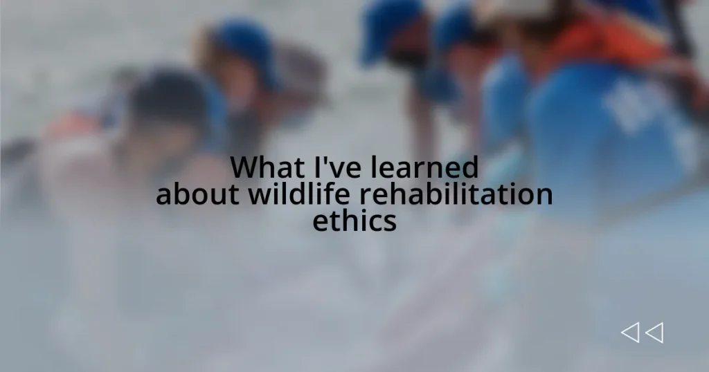 What I’ve learned about wildlife rehabilitation ethics