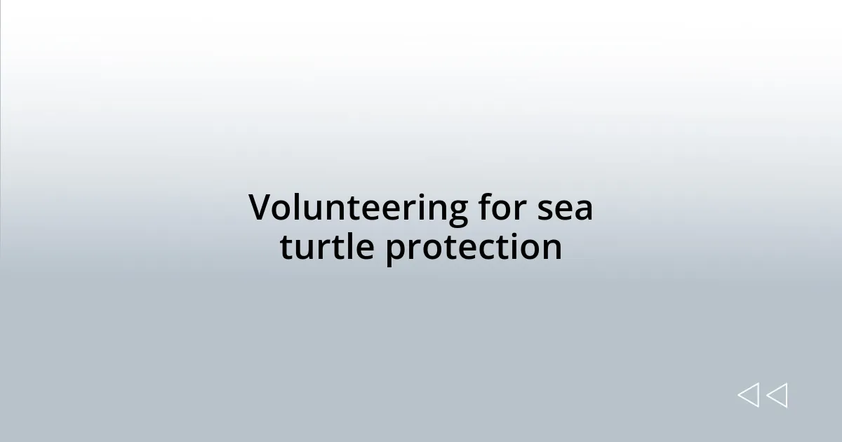 Volunteering for sea turtle protection