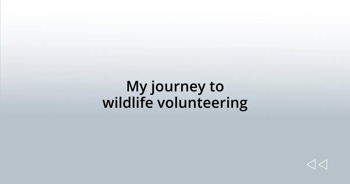 My journey to wildlife volunteering