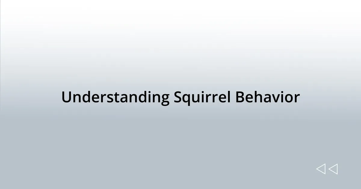 Understanding Squirrel Behavior