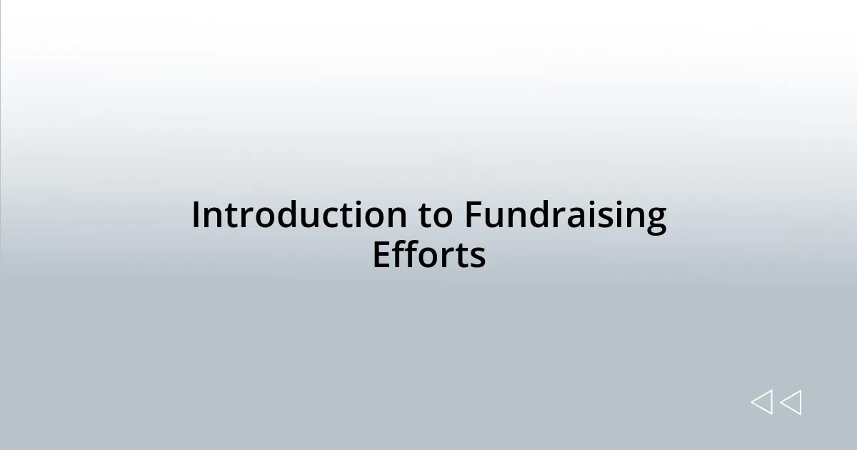 Introduction to Fundraising Efforts