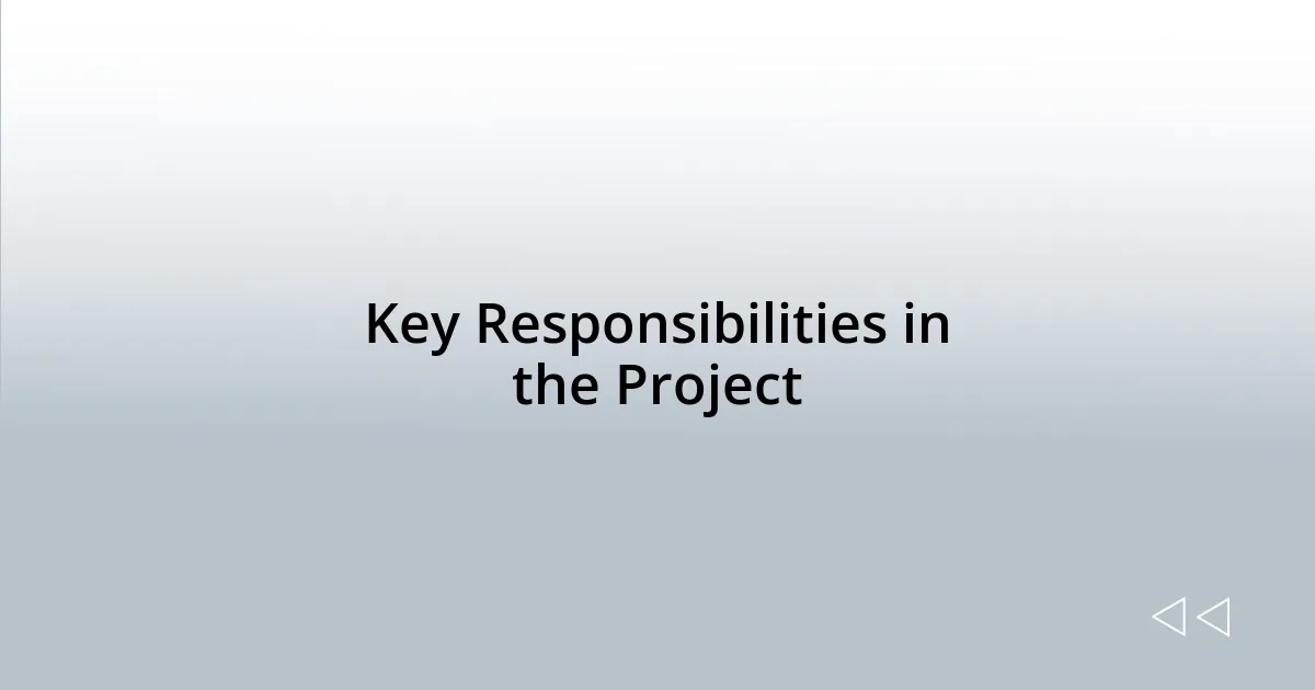 Key Responsibilities in the Project