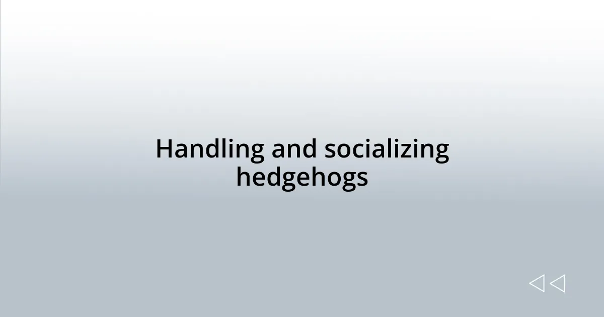 Handling and socializing hedgehogs