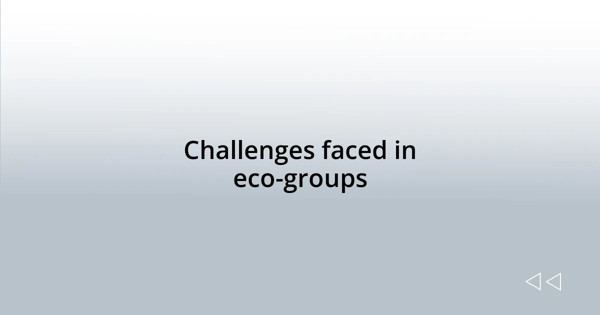 Challenges faced in eco-groups