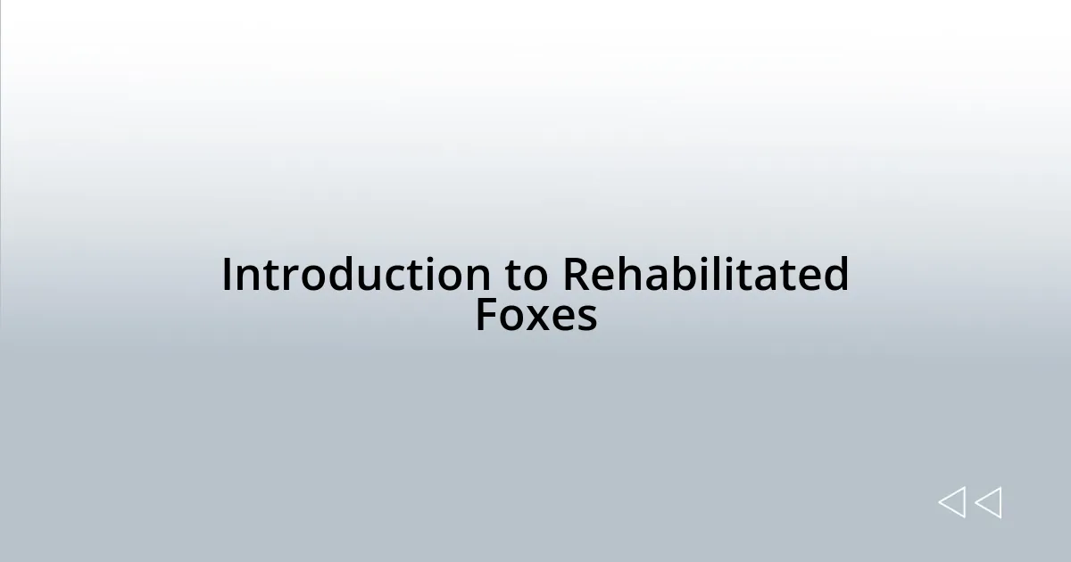 Introduction to Rehabilitated Foxes