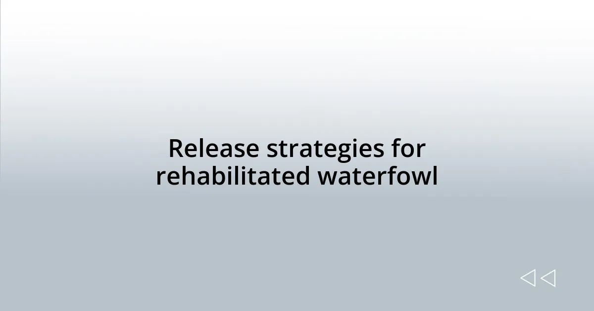 Release strategies for rehabilitated waterfowl