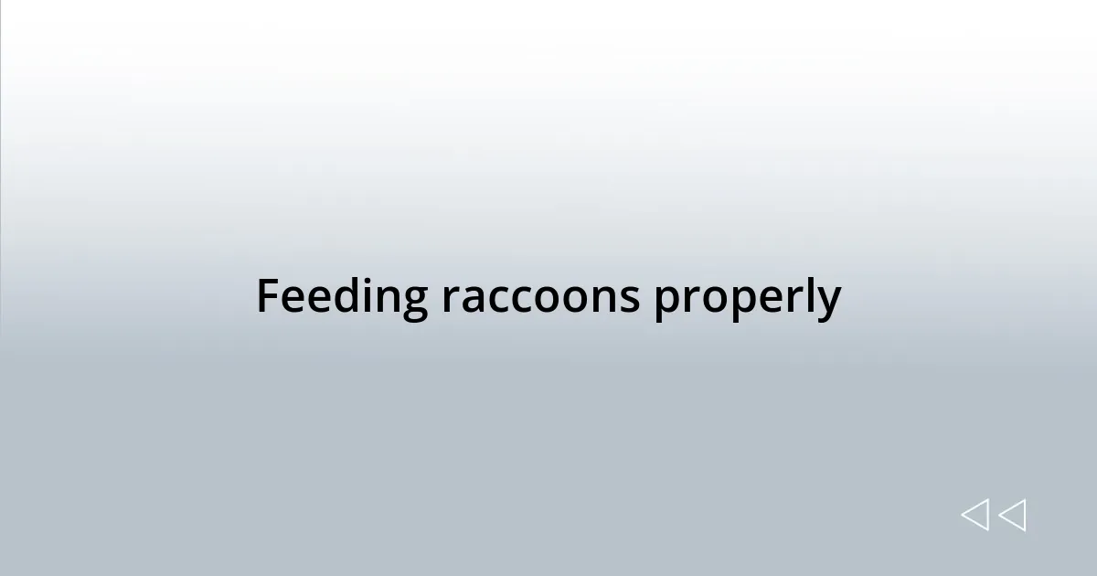Feeding raccoons properly