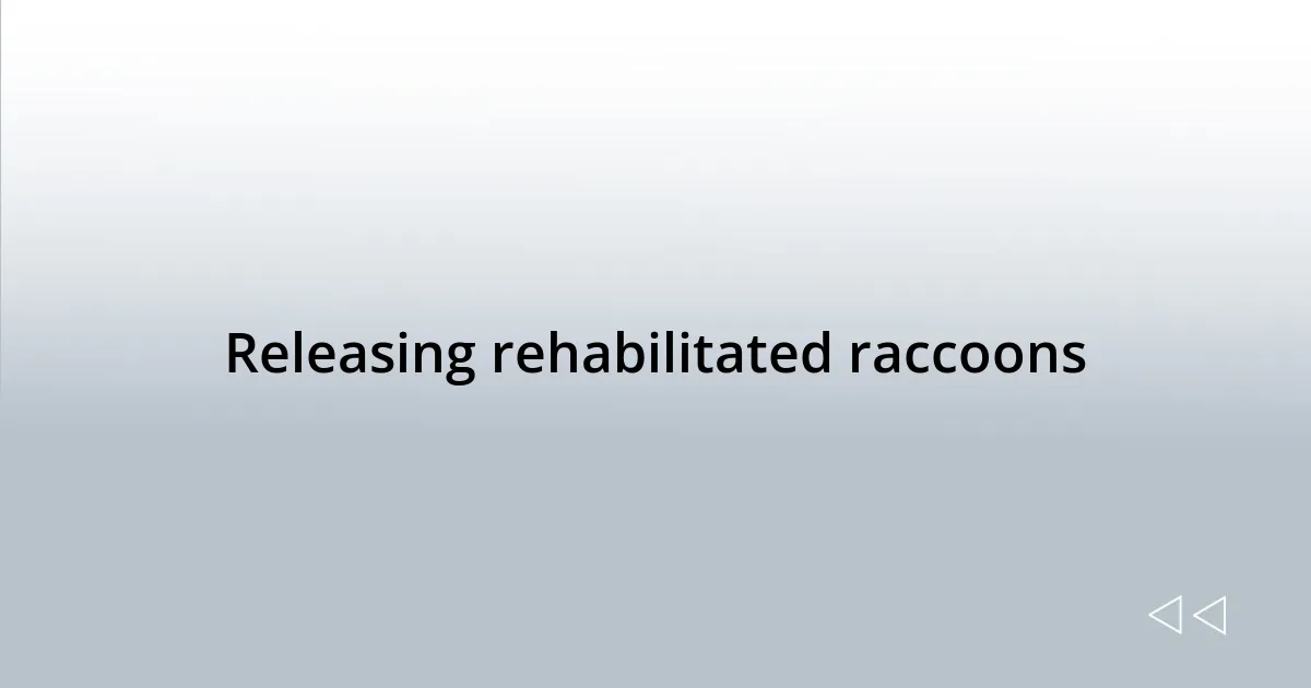 Releasing rehabilitated raccoons