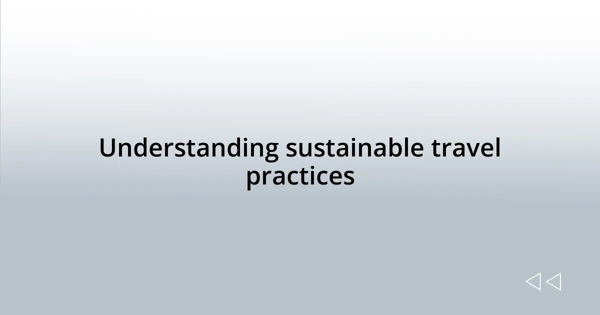 Understanding sustainable travel practices